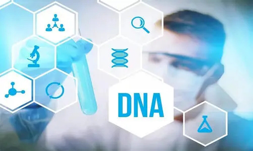 乌鲁木齐DNA鉴定机构查询,乌鲁木齐亲子鉴定中心收费多少